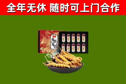 鼎湖区烟酒回收冬虫夏草礼盒.jpg